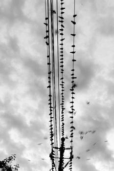 �齫��ң��оƬ��Ƶ����������������漣���ڶ����������...